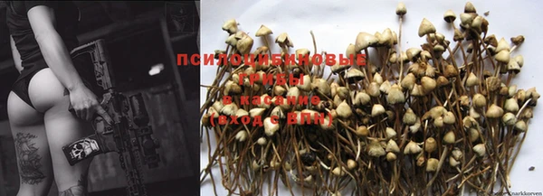 прущая мука Кодинск