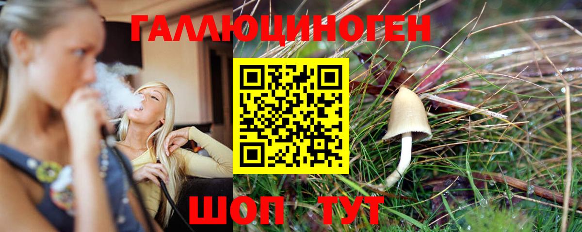 Псилоцибиновые грибы мухоморы  Псилоцибиновые грибы Psilocybe  Красноперекопск  Вход с VPN 